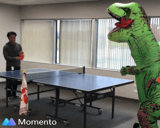 Ping pong game