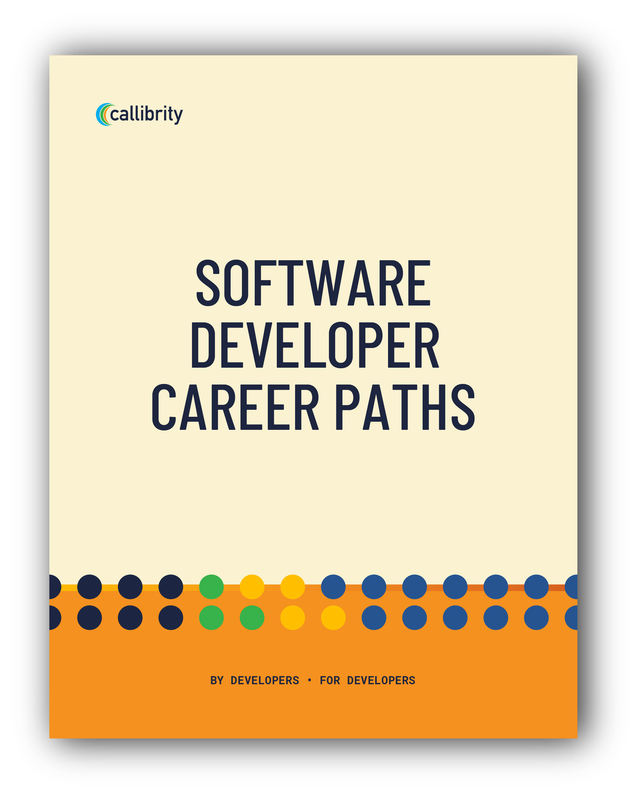 Software Developer Career Paths